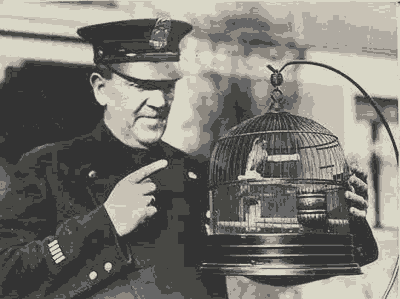 cop canary