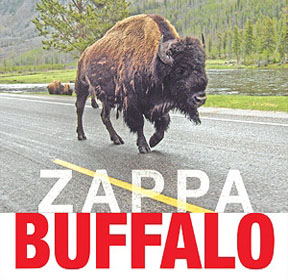 fz-buffalo.jpg