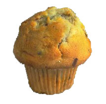 muffin-fz