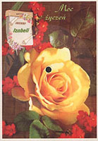 Polish "Nanook Rubs It" flexi-disc postcard